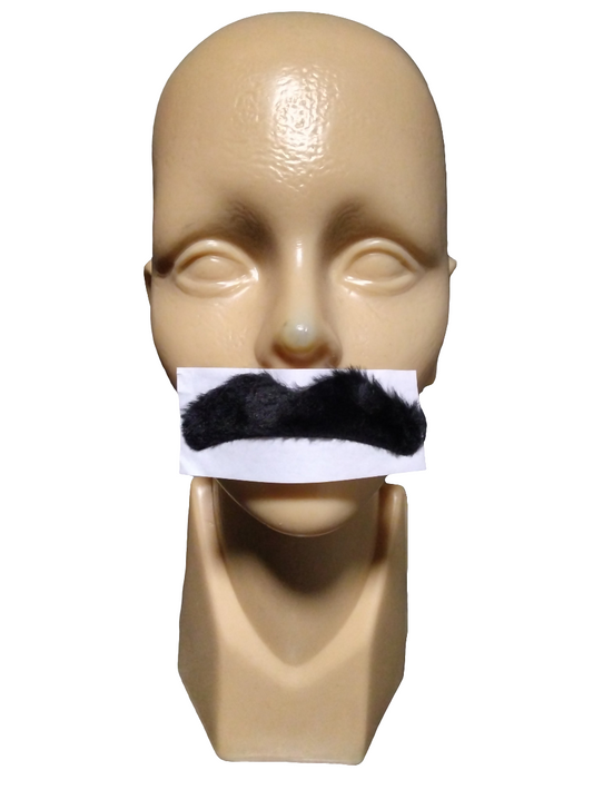 Bigote Chico