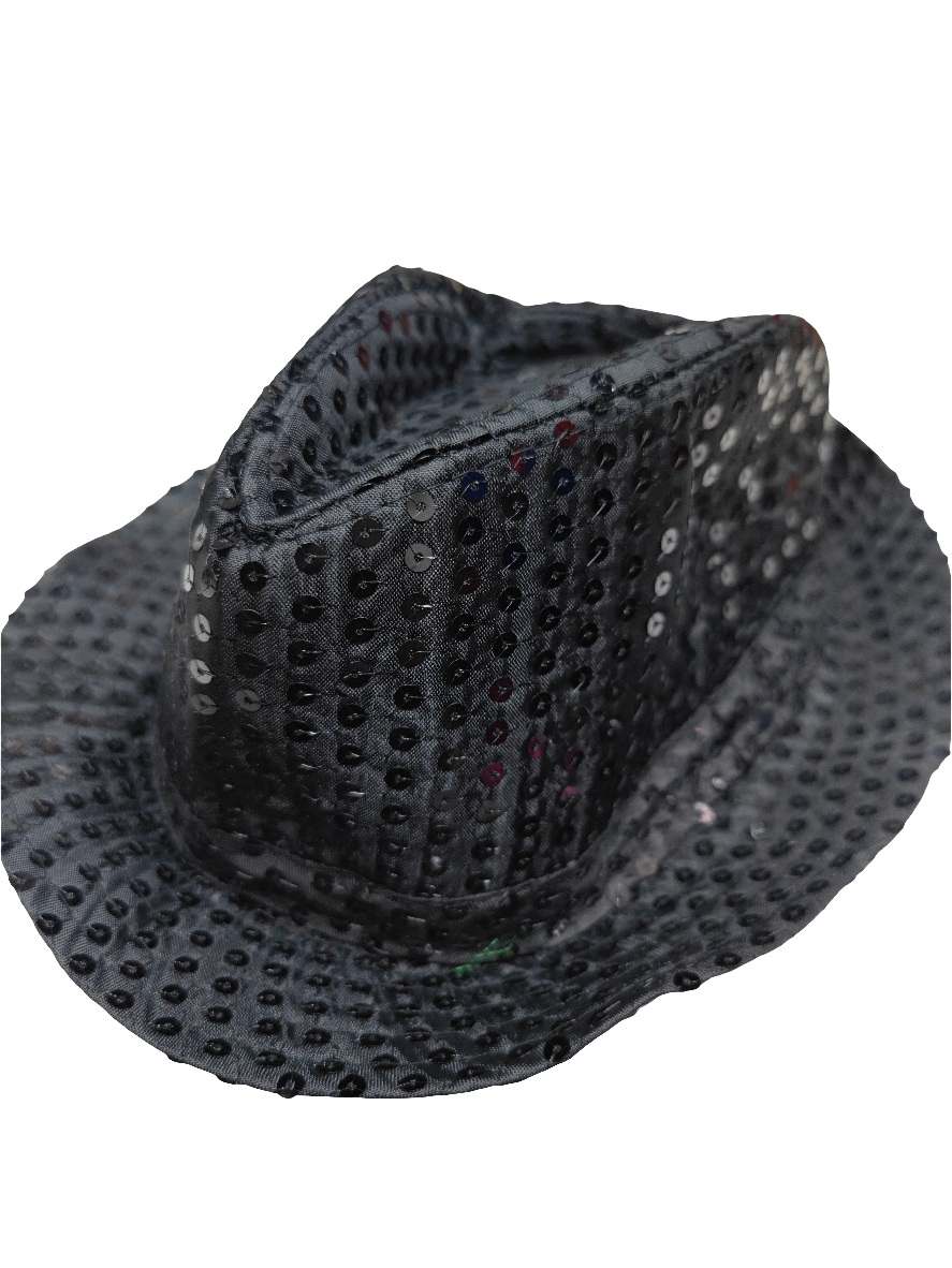 Gorro Lentejuela Blanco/Plata