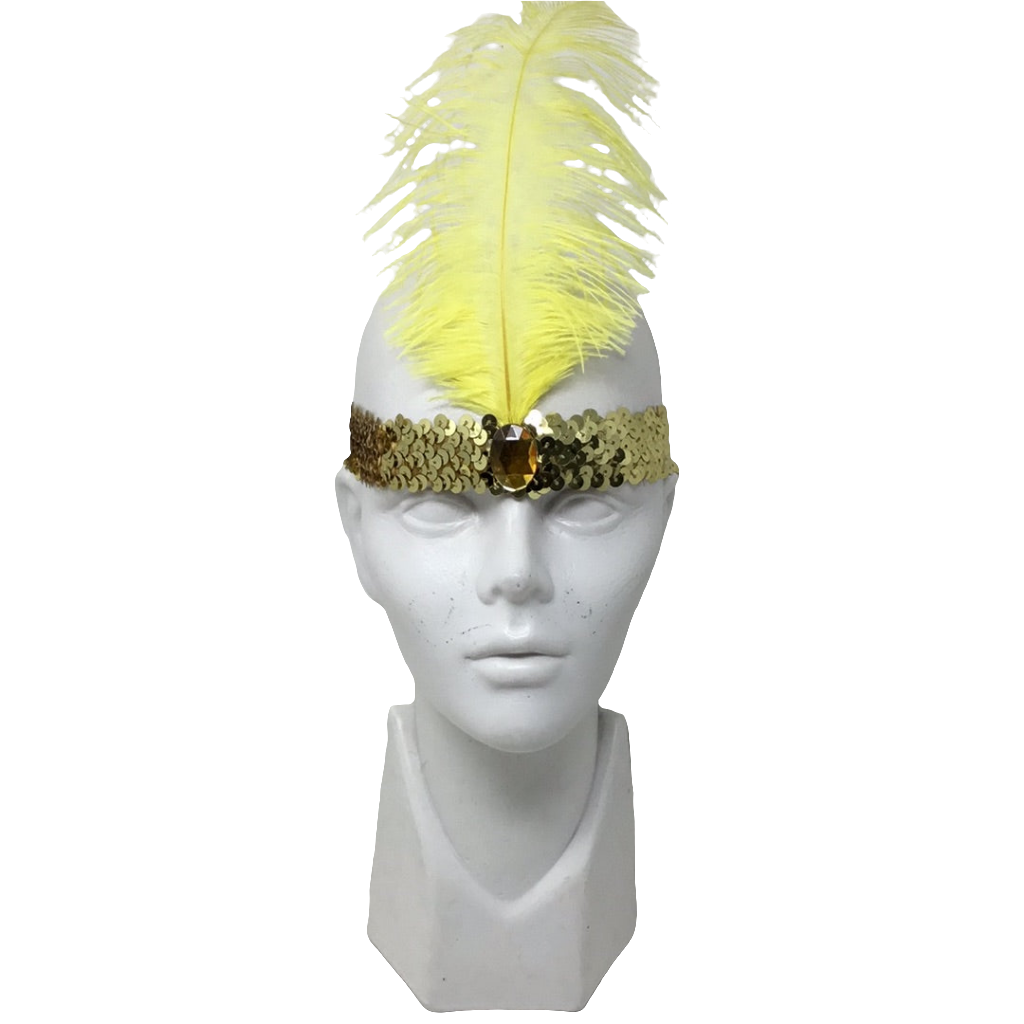 Diadema elastica pluma