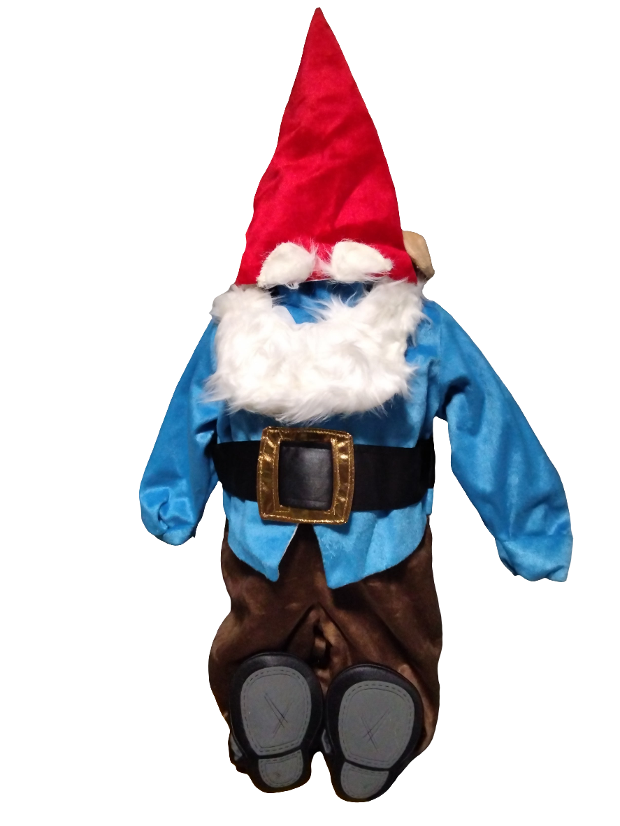 Lil’ Garden Gnome