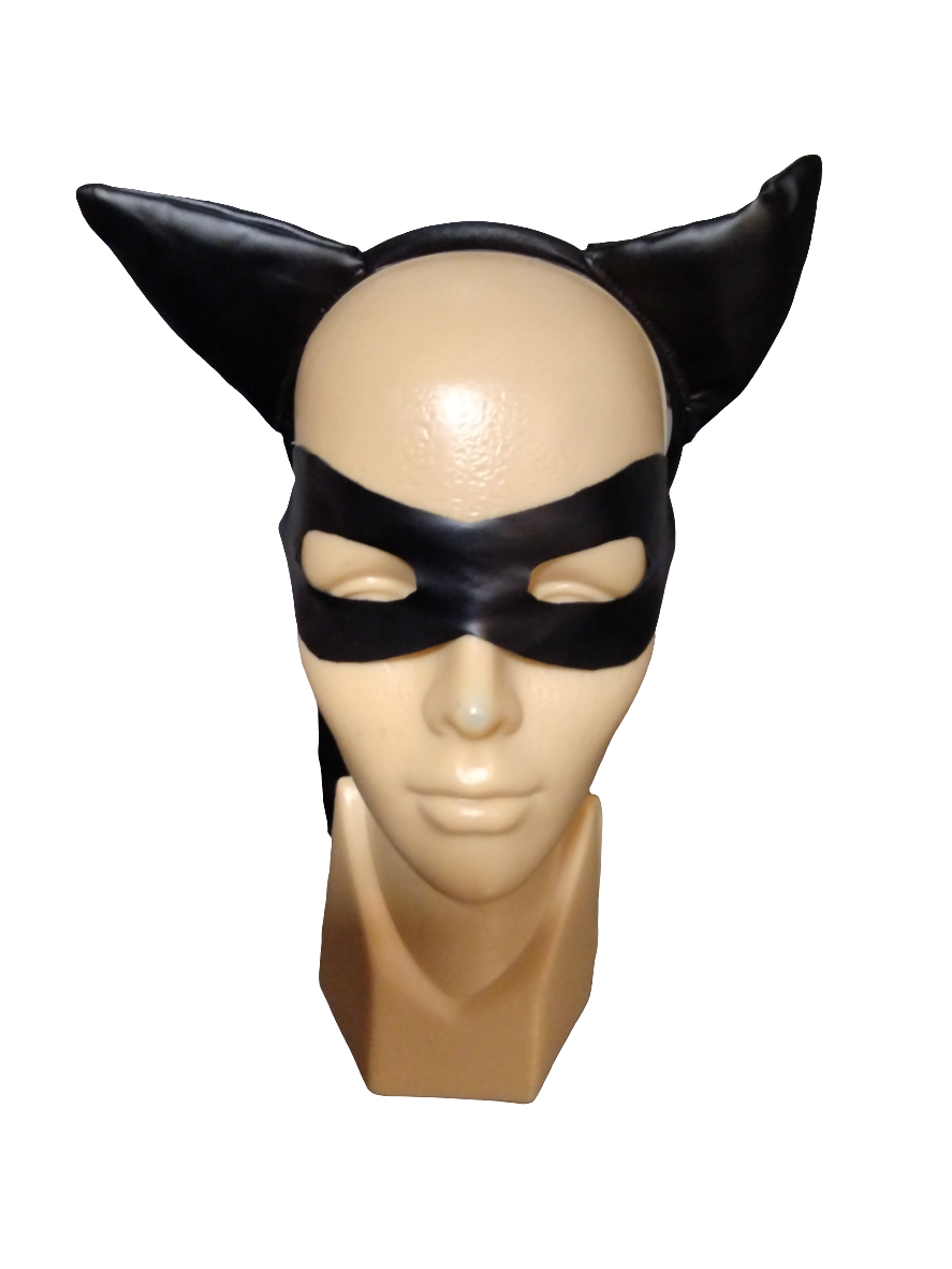 Burglar Racoon SAMPLE 4