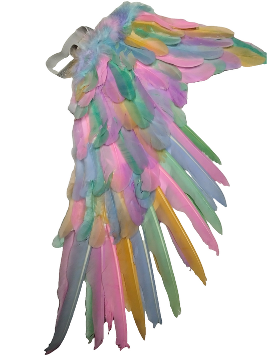 alas plumas colores