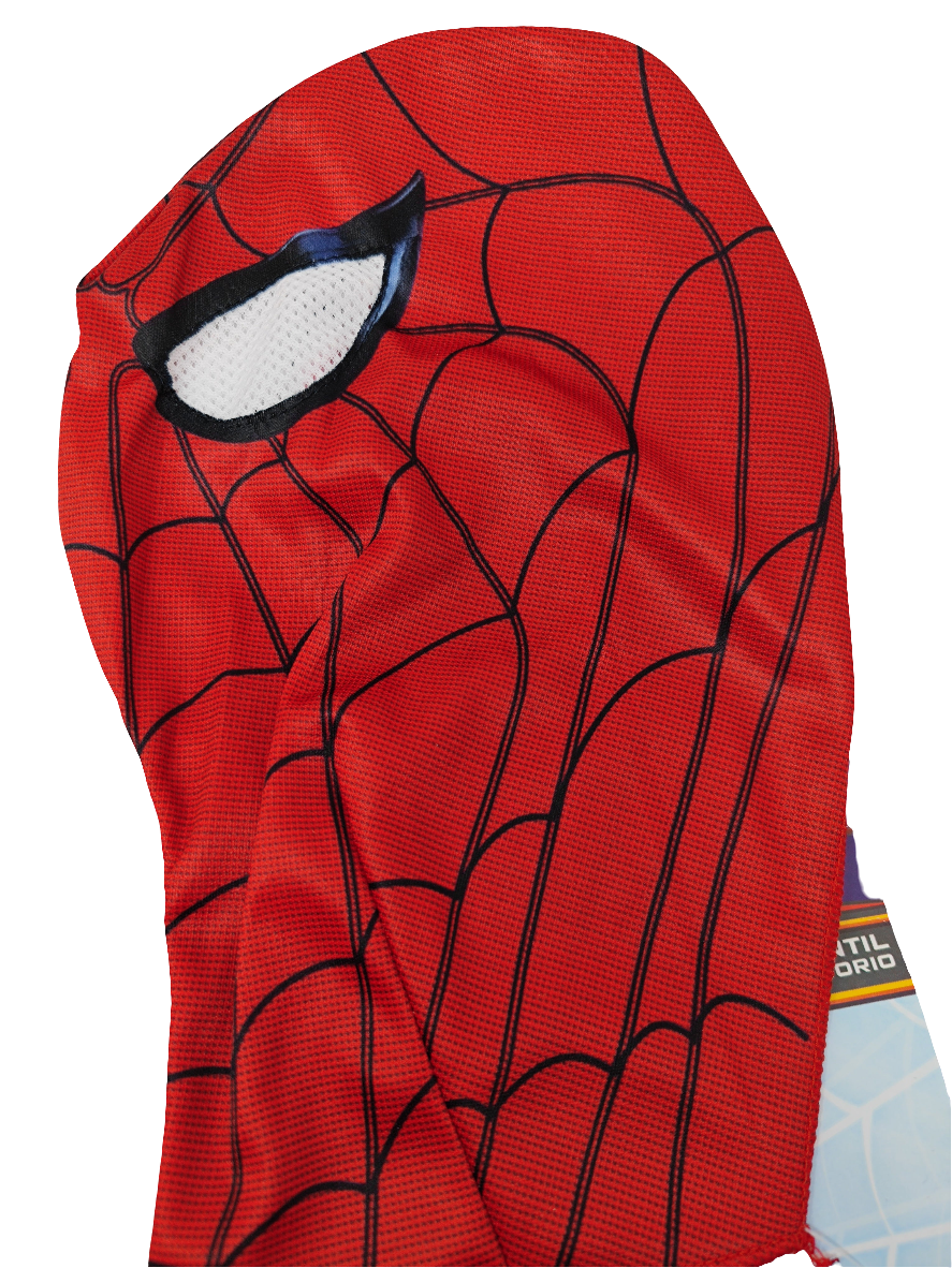 Spiderman IW