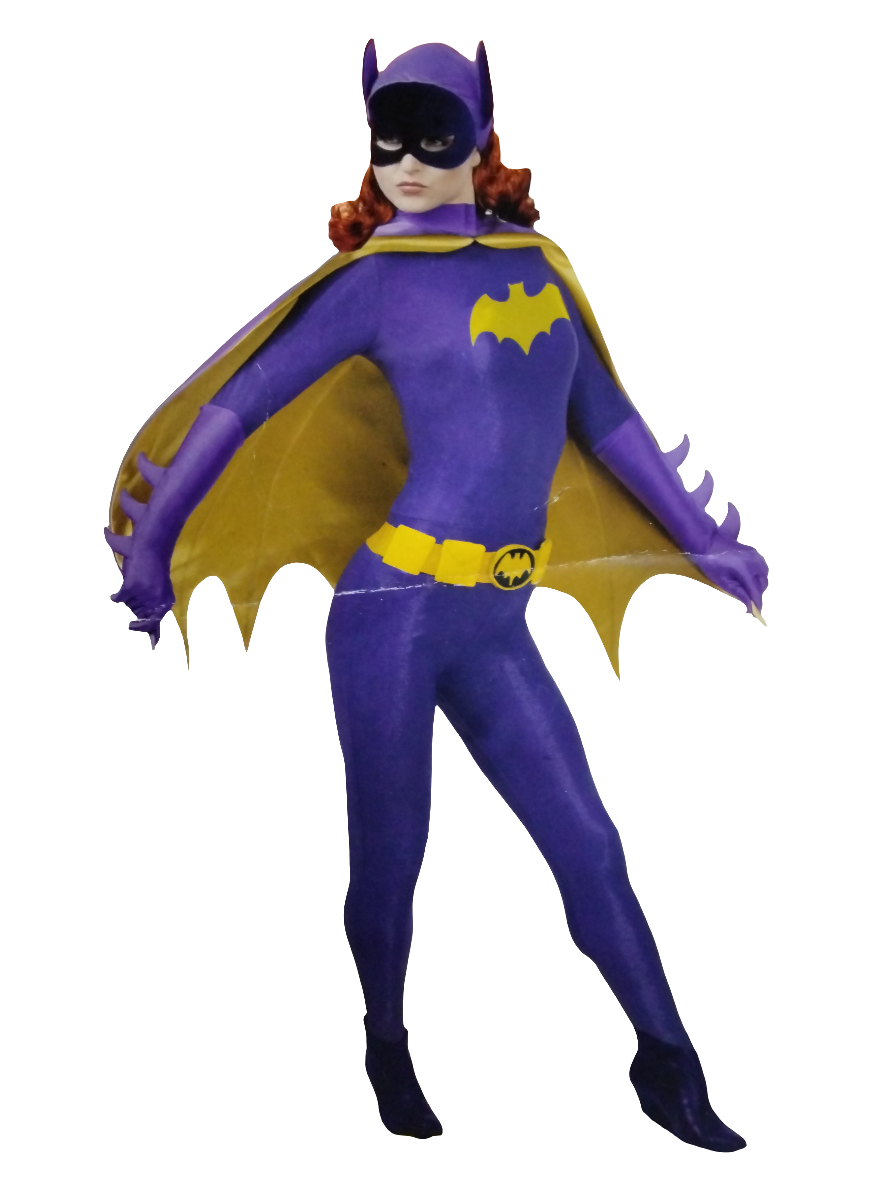 Batgirl Retro AD Costume