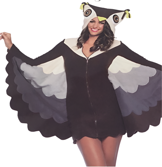 Cozy Owl AD