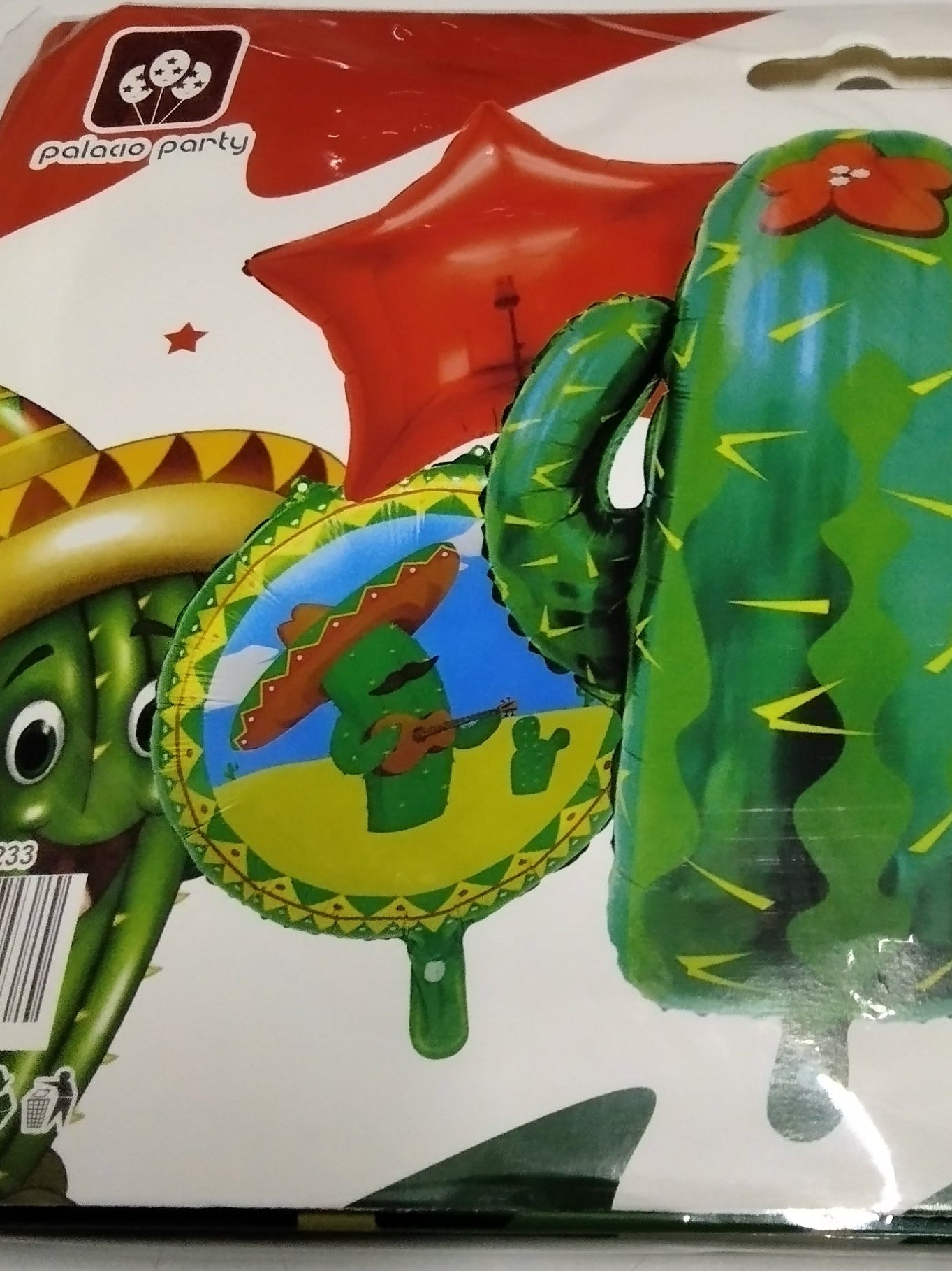 Kit cactus mexico