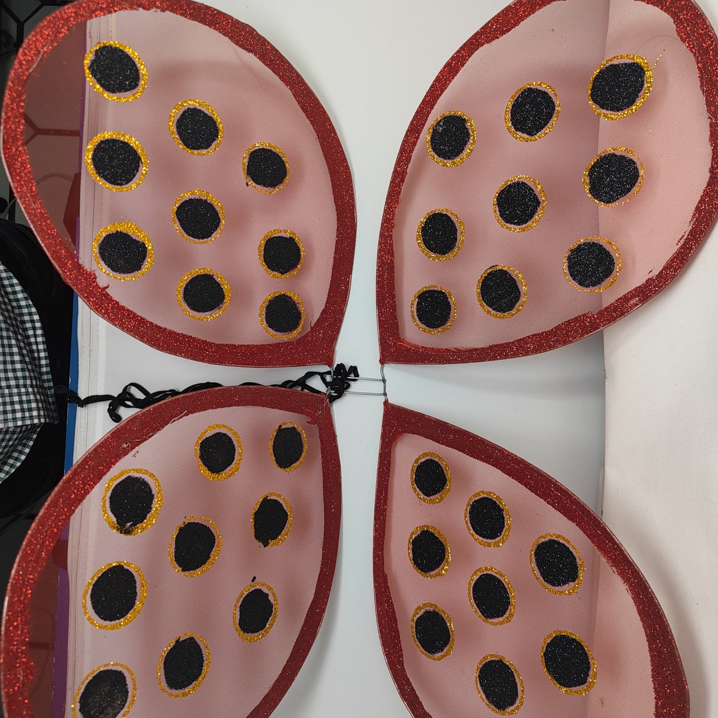 Alas catarina brillantina