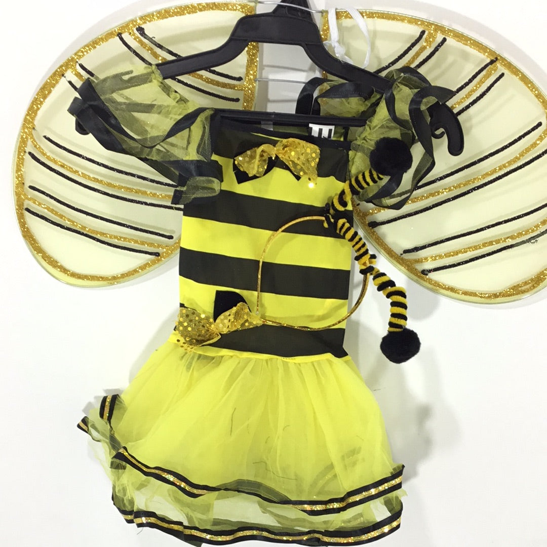 Disfraz abeja