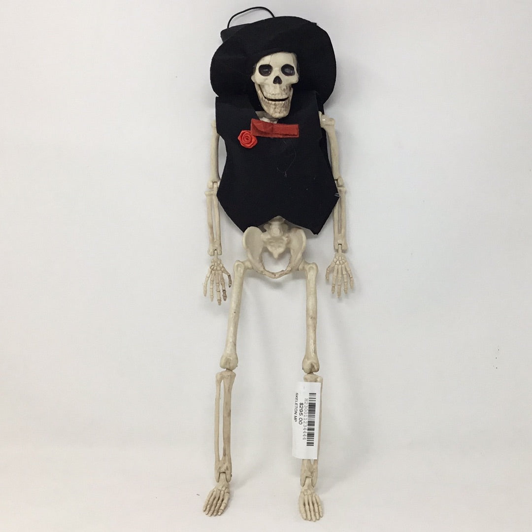 Skeleton MP