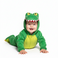 Goofy Gator