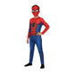 Spider Man IW