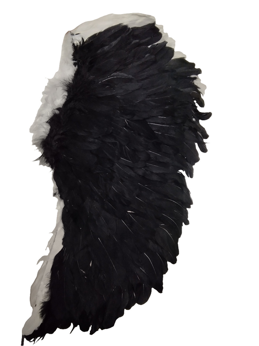 ALAS PLUMAS BCO/NGO
