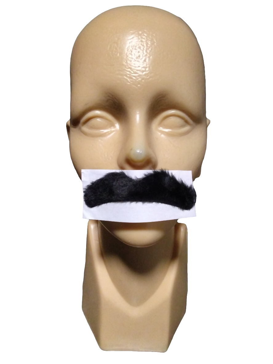 Bigote Chico