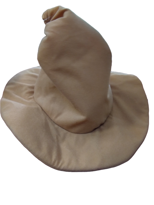 Sombrero bruja negro AD