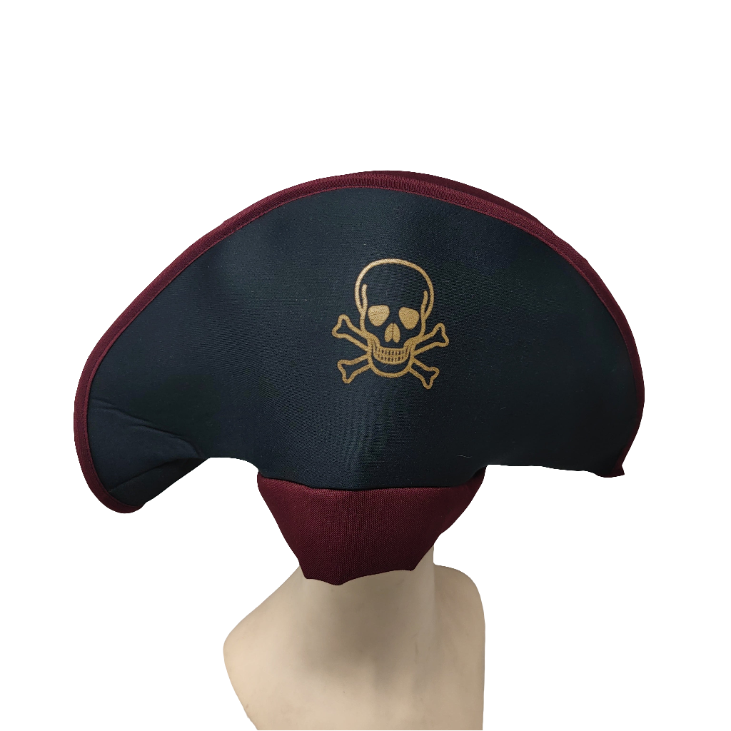 Pirata Saco