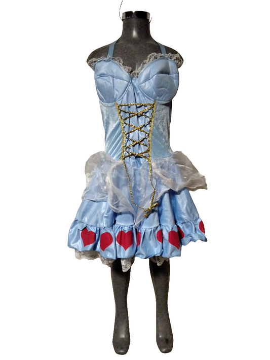 Alice in Wonderland Chil