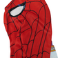 Spiderman IW