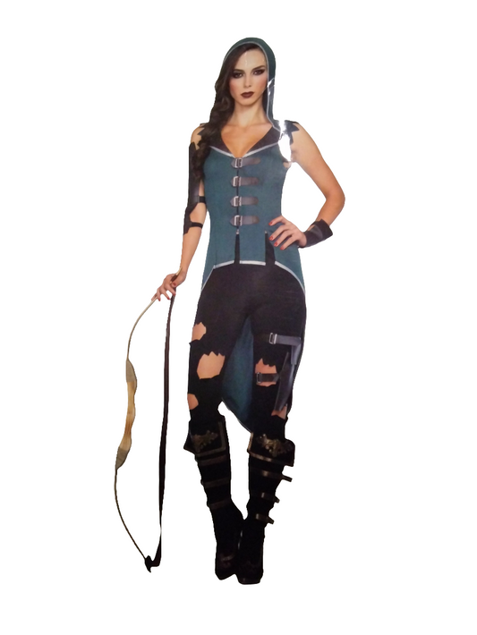 Rebel Robin Hood