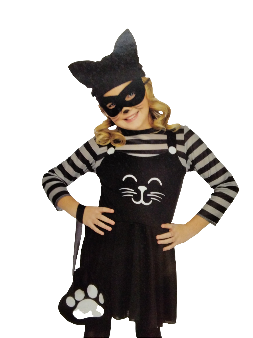 Cat Burglar
